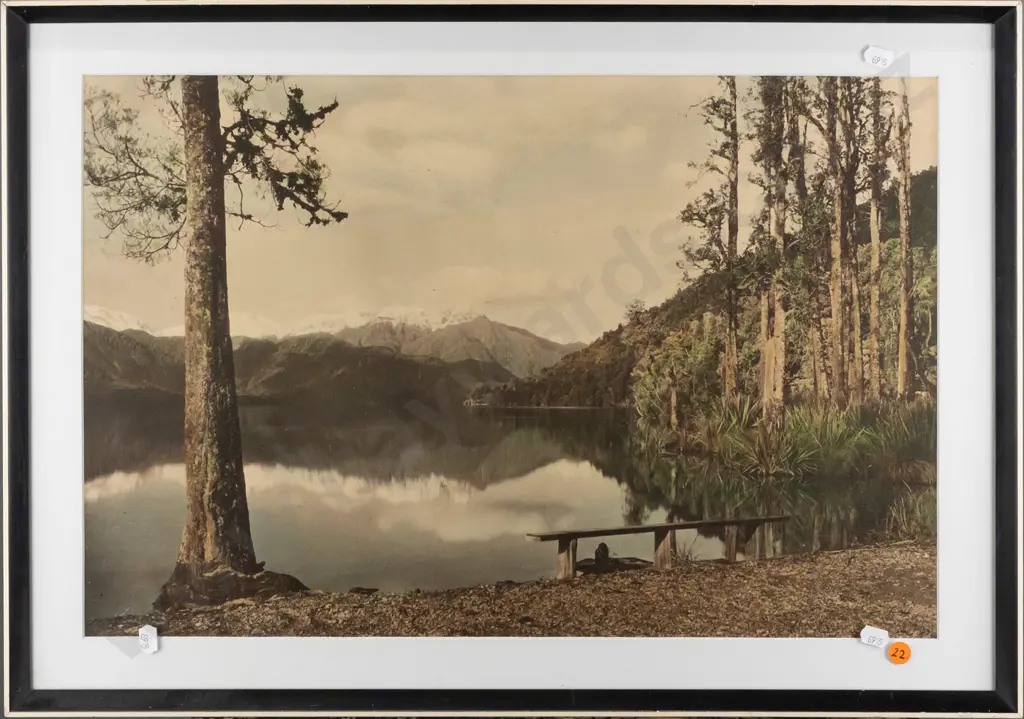 vintage hand coloured photograph - Lake Kaniere - some marks / scratches H-350 W-530 Image 1++