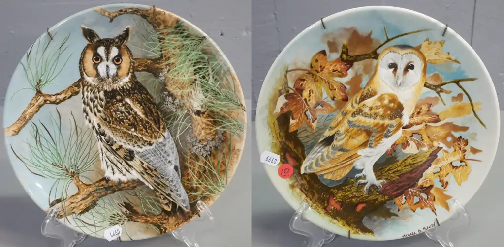 2x wall plates Coal Port depicting owls: Barn Owl & Long-eared Owl, designer Michael B Sawdy. Wire wall-hanging Image 1++