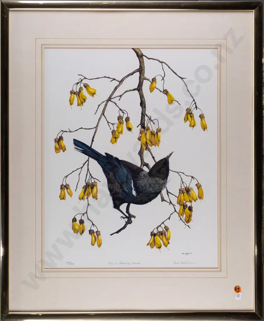 Paul Martinson 1987 -- framed limited edition print "Tui in Flowering Kowhai" ed. 249/350 H-450 W-350 [a few small Image 1++