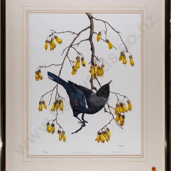 Paul Martinson 1987 -- framed limited edition print "Tui in Flowering Kowhai" ed. 249/350 H-450 W-350 [a few small
