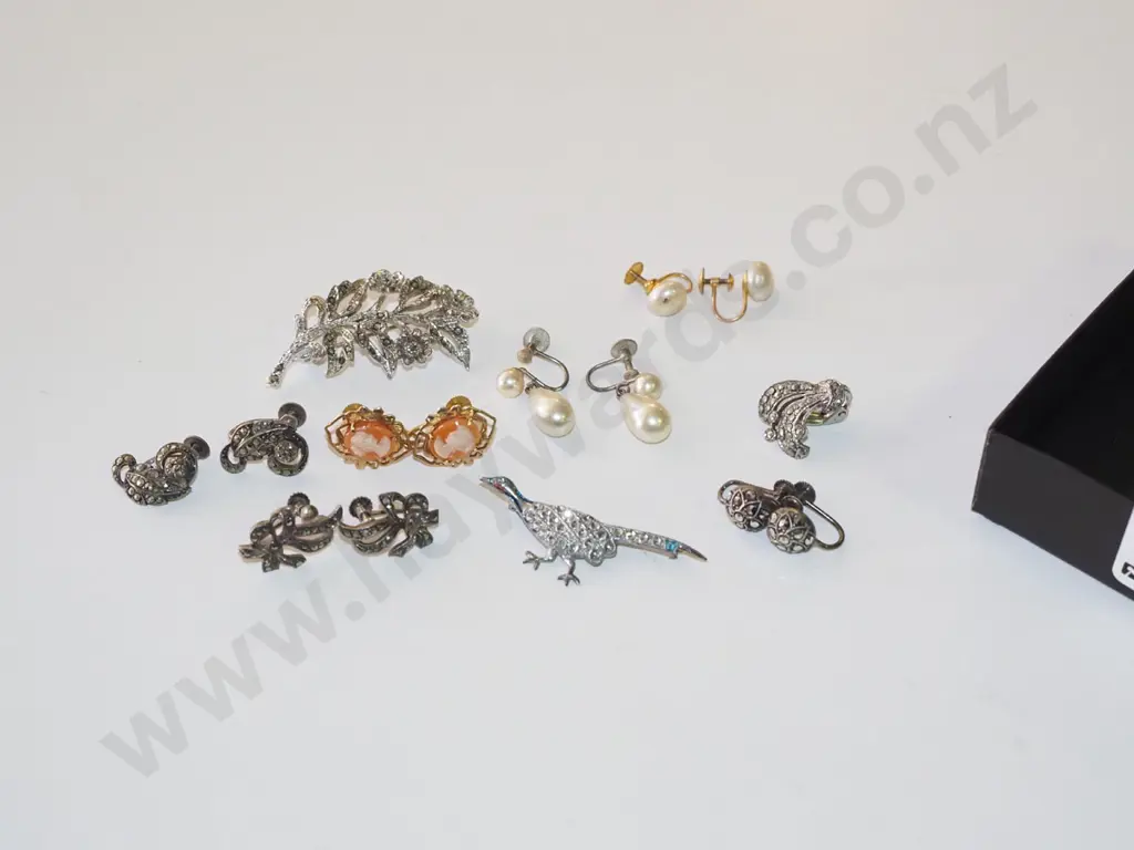 tray of brooches & clip on earrings Image 1++