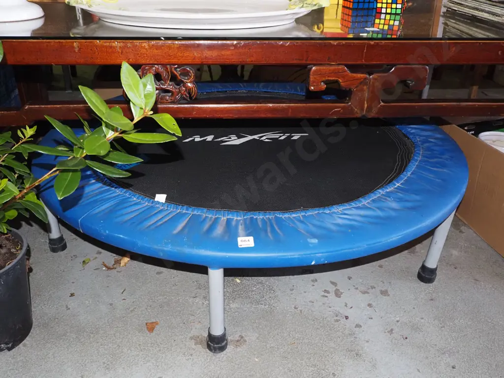 Max Fit mini tramp Image 1++