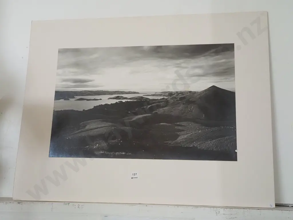 photo print on board - Otago Harbour - damage to print Image 1++
