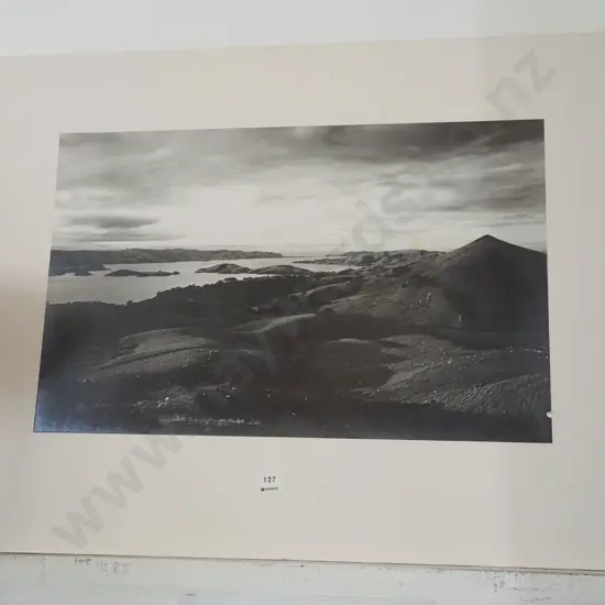 photo print on board - Otago Harbour - damage to print