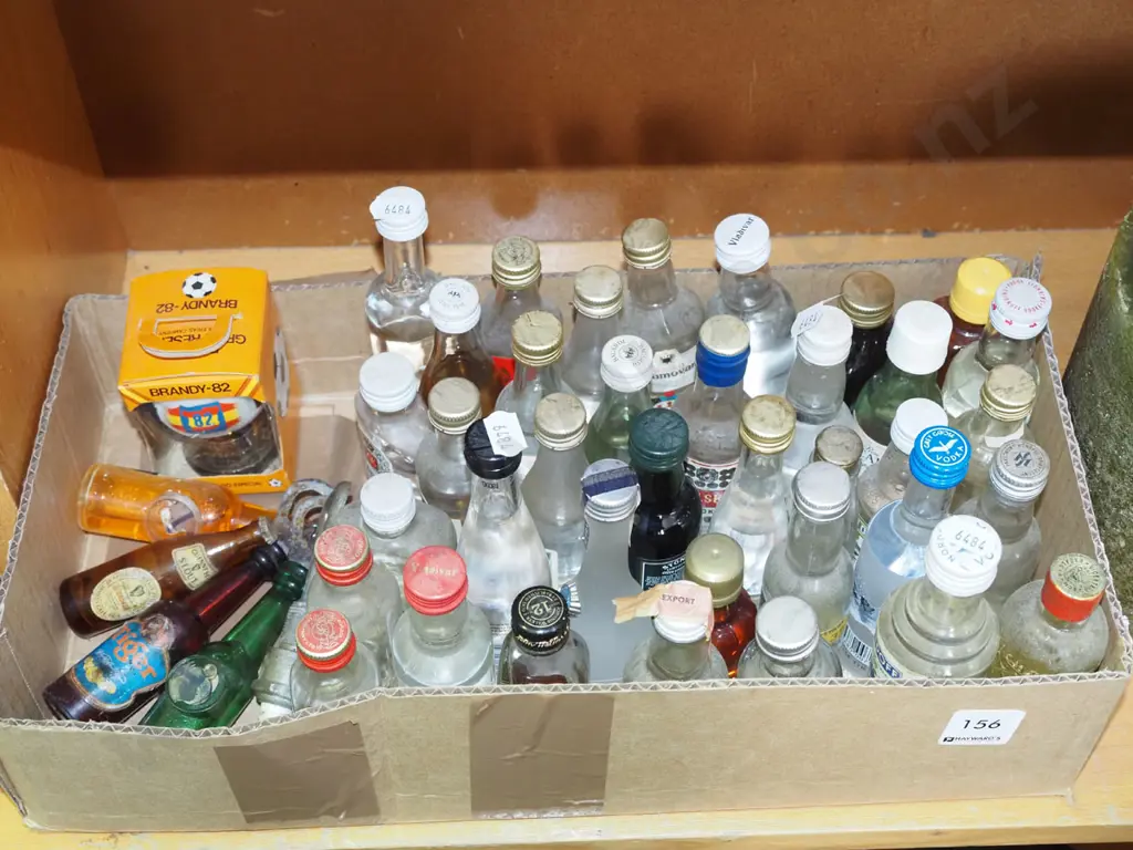 box of spirit miniatures Image 1++