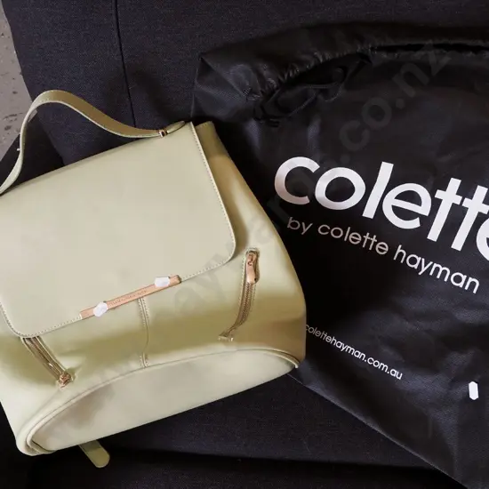 ladies hand bag
