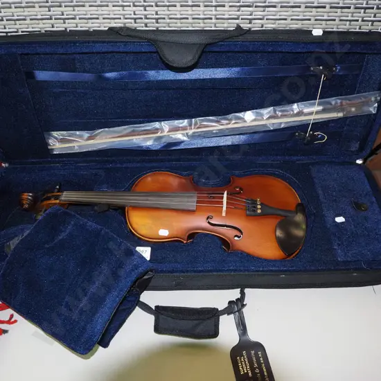 violin, bow and case
