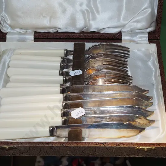cased fish set