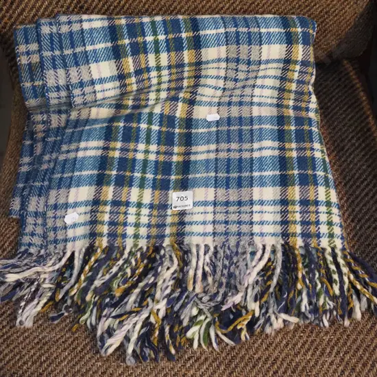 blue checked travel rug