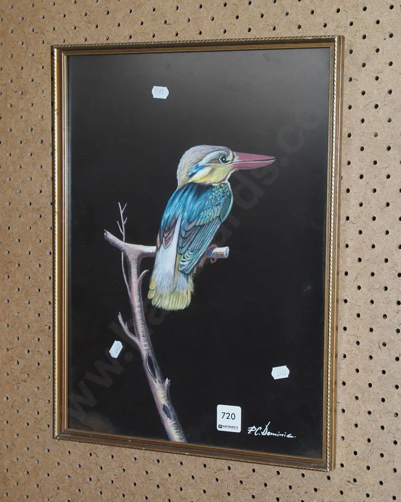framed watercolour bird on branch Image 1++
