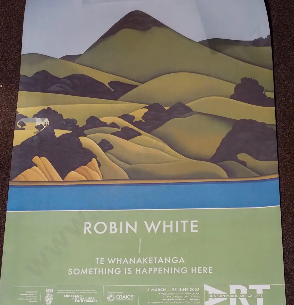 various posters including Picasso and Robin White exhibition posters Image 1++