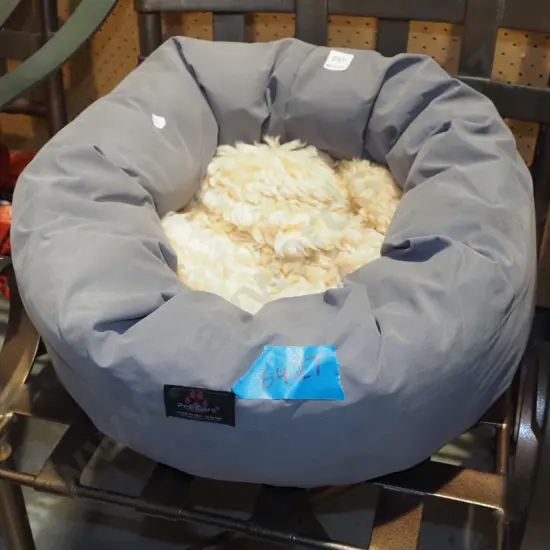 fabric pet bed