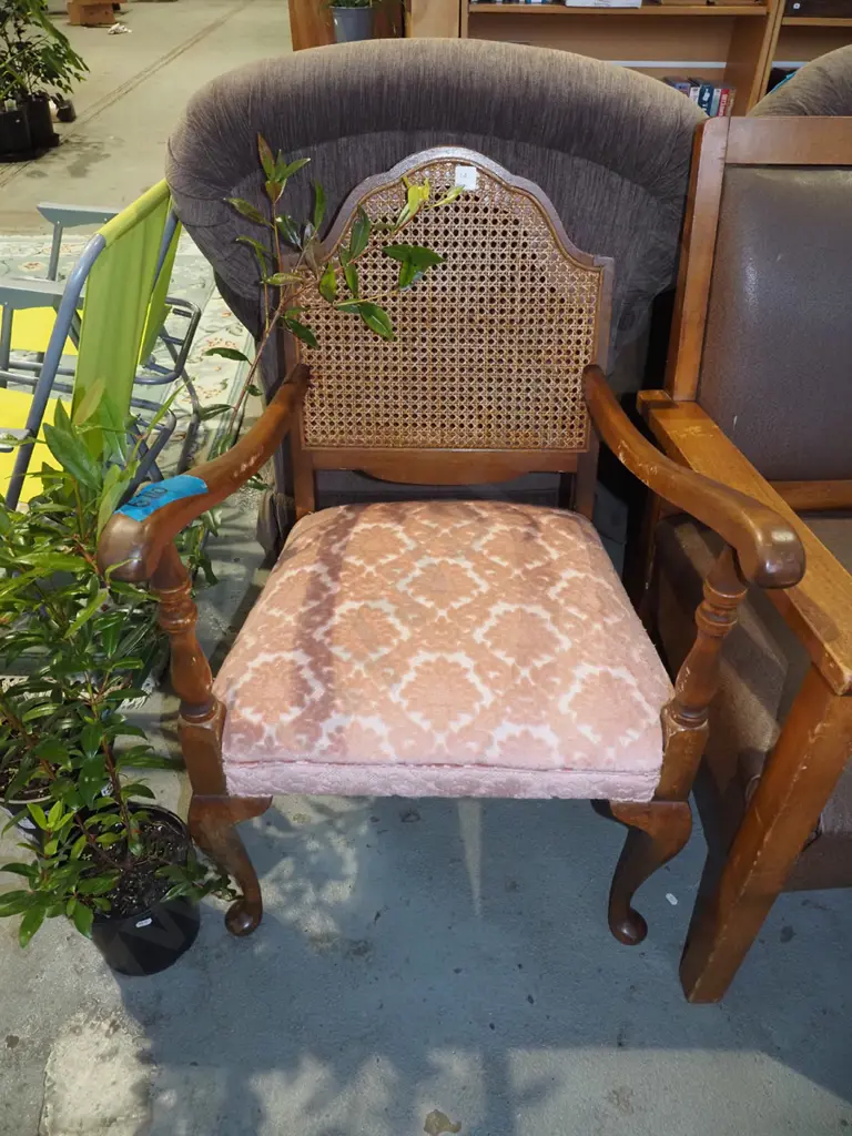 mahogany cab leg bergere backed and upholstered armchair Image 1++