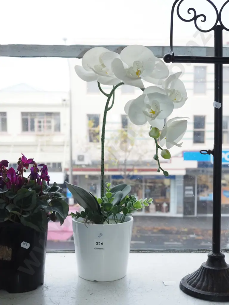 faux plastic orchids Image 1++