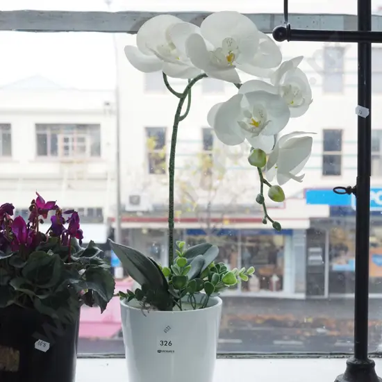 faux plastic orchids