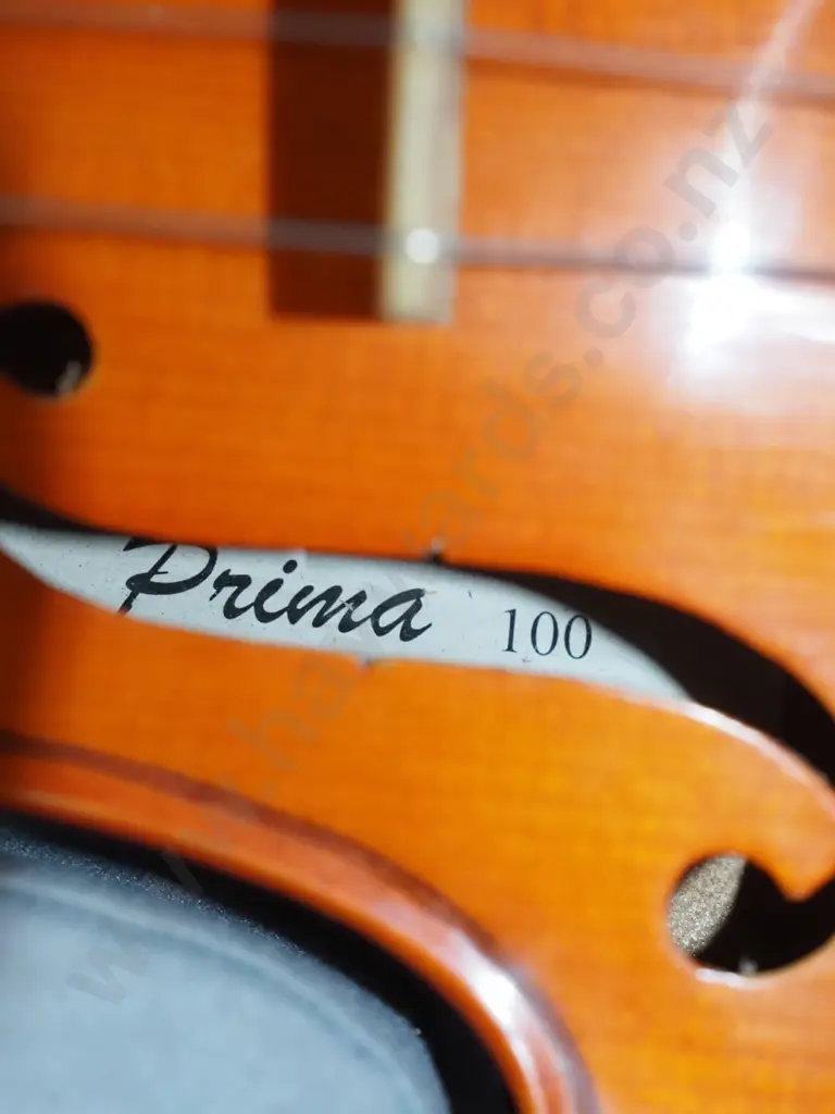 violin, case and bow Image 1++