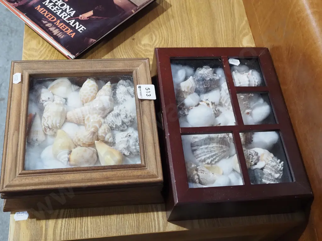 2x glass top boxes, seashells Image 1++