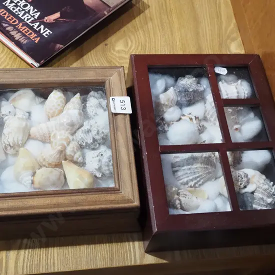2x glass top boxes, seashells