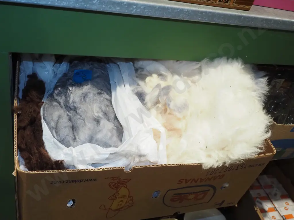 box of unspun sheep wool Image 1++