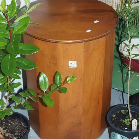 lidded cylindrical pine storage canister H460