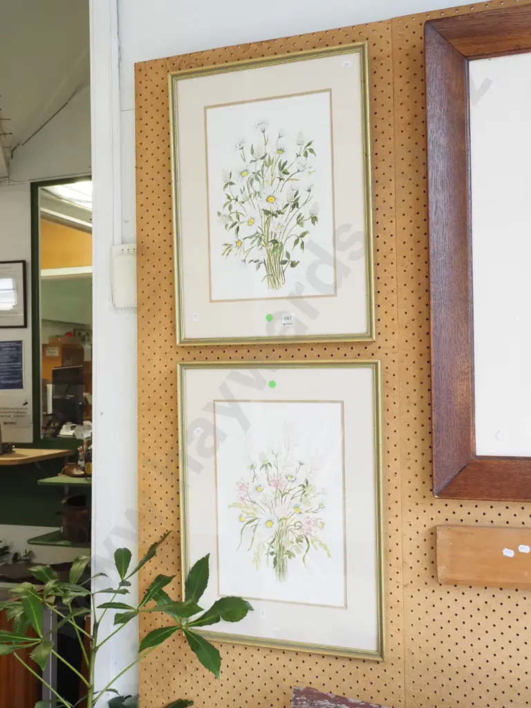 2x framed floral pencil and watercolours Image 1++