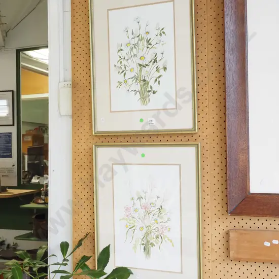 2x framed floral pencil and watercolours