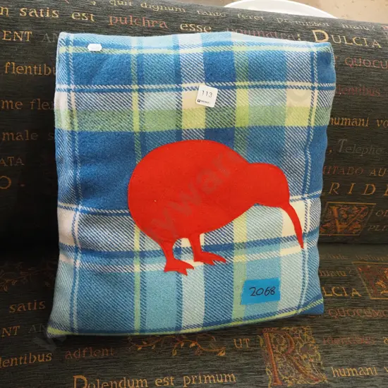 kiwi themed woollen blanket covered cushion