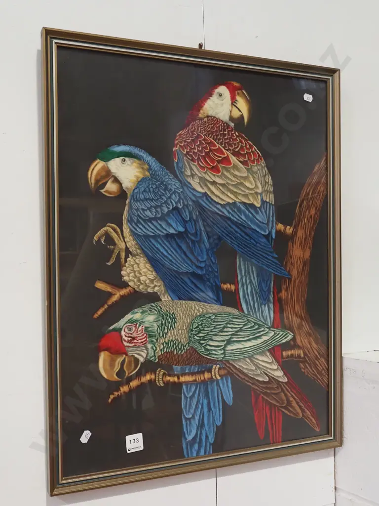 framed parrot print Image 1++