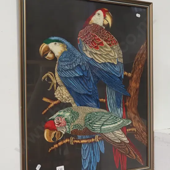 framed parrot print