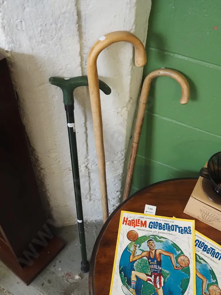 3x walking sticks Image 1++