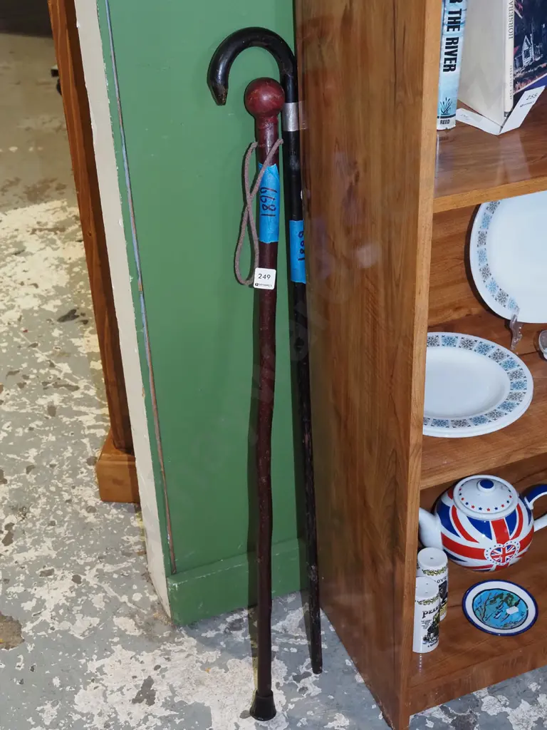 2x walking sticks Image 1++