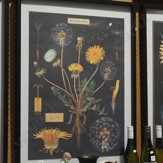 framed Dandelion print