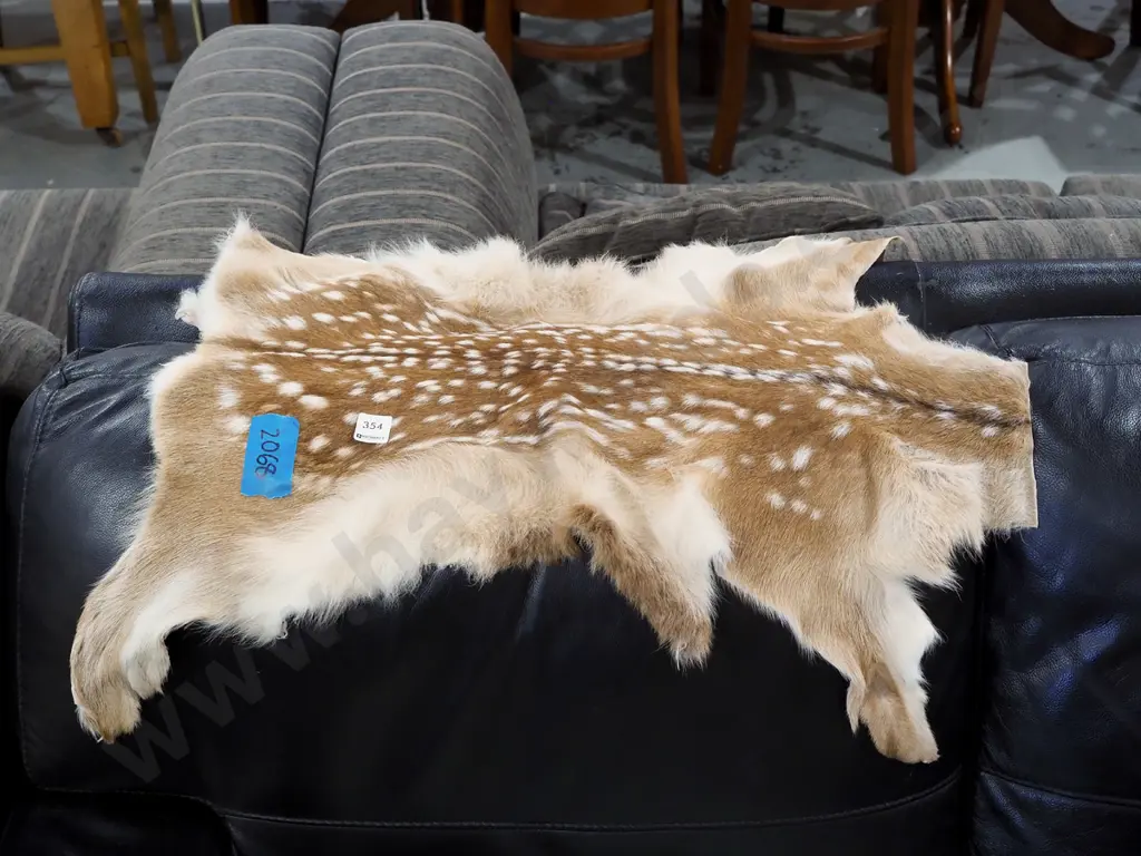 small animal pelt Image 1++