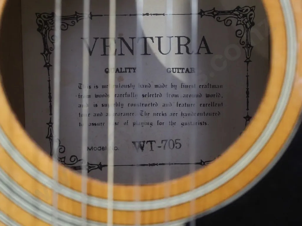 Ventura acoustic guitar with strap and soft case Image 1++