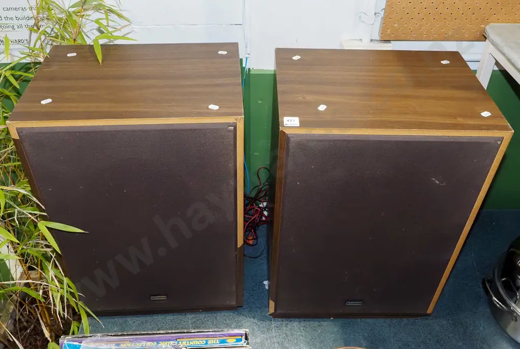 pair of Fountain speakers - some veneer missing Image 1++