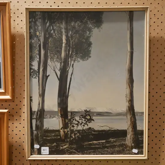 framed retro print - lake and mountain scene - markings and damage