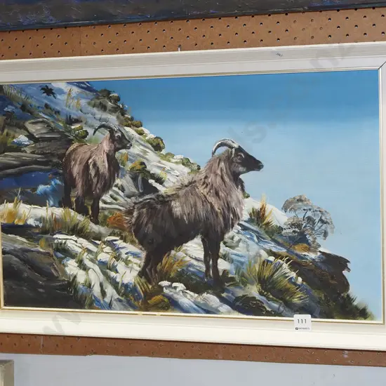 framed oil - tahr