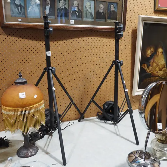 2x tripods, carry bags