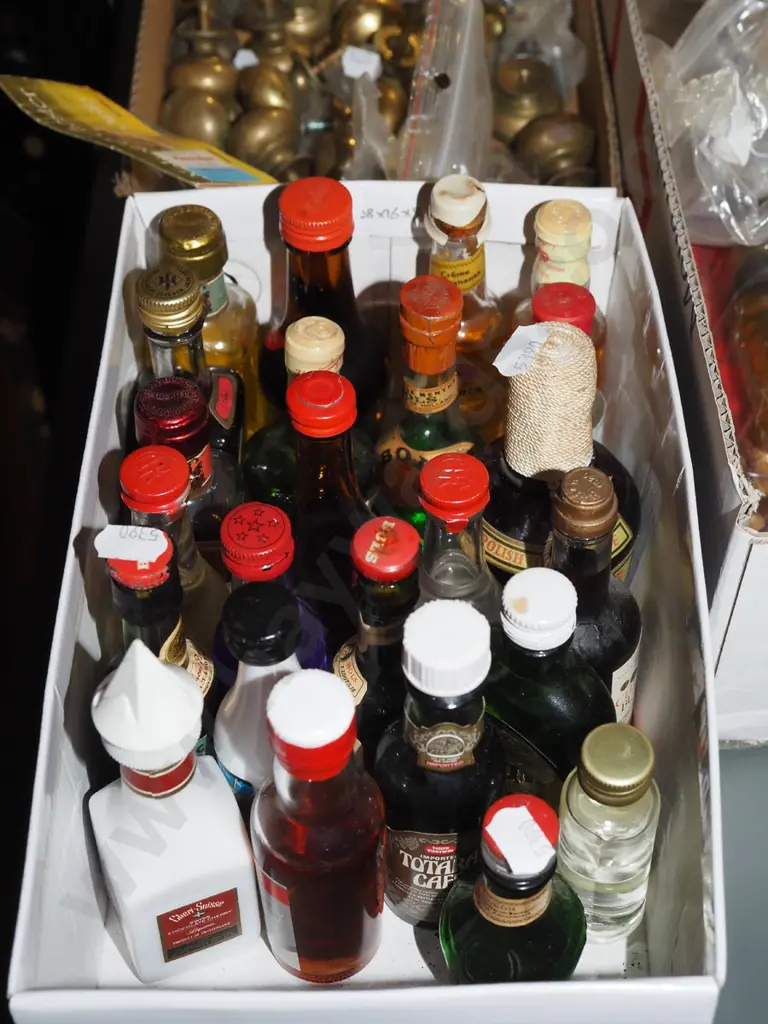 spirit miniatures Image 1++