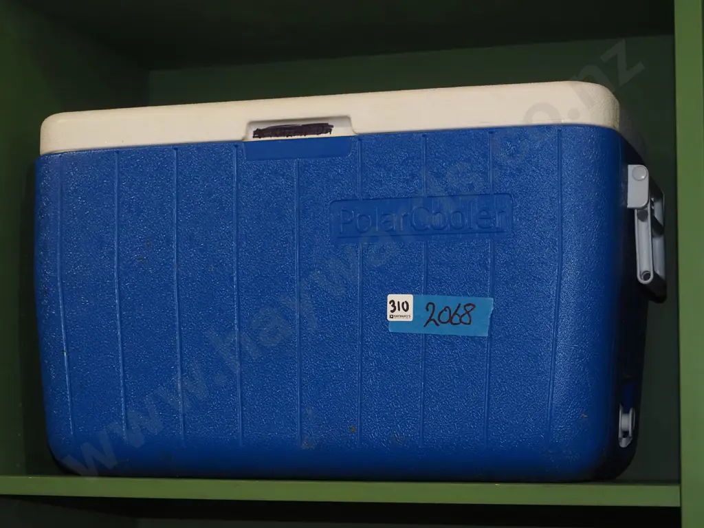 Polar cooler chilly bin Image 1++