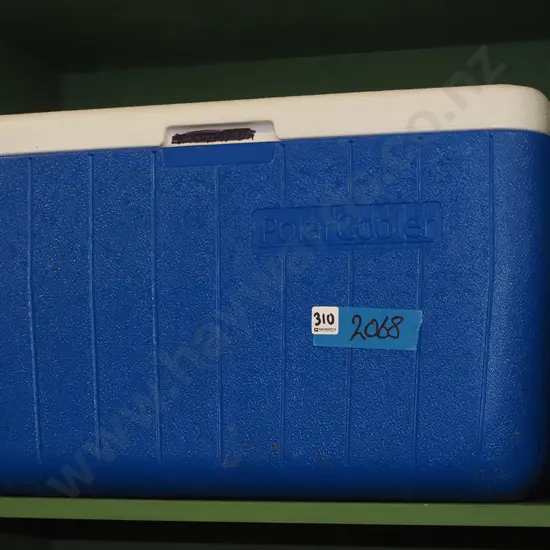 Polar cooler chilly bin