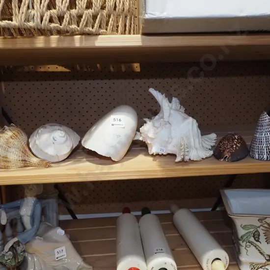 seashells