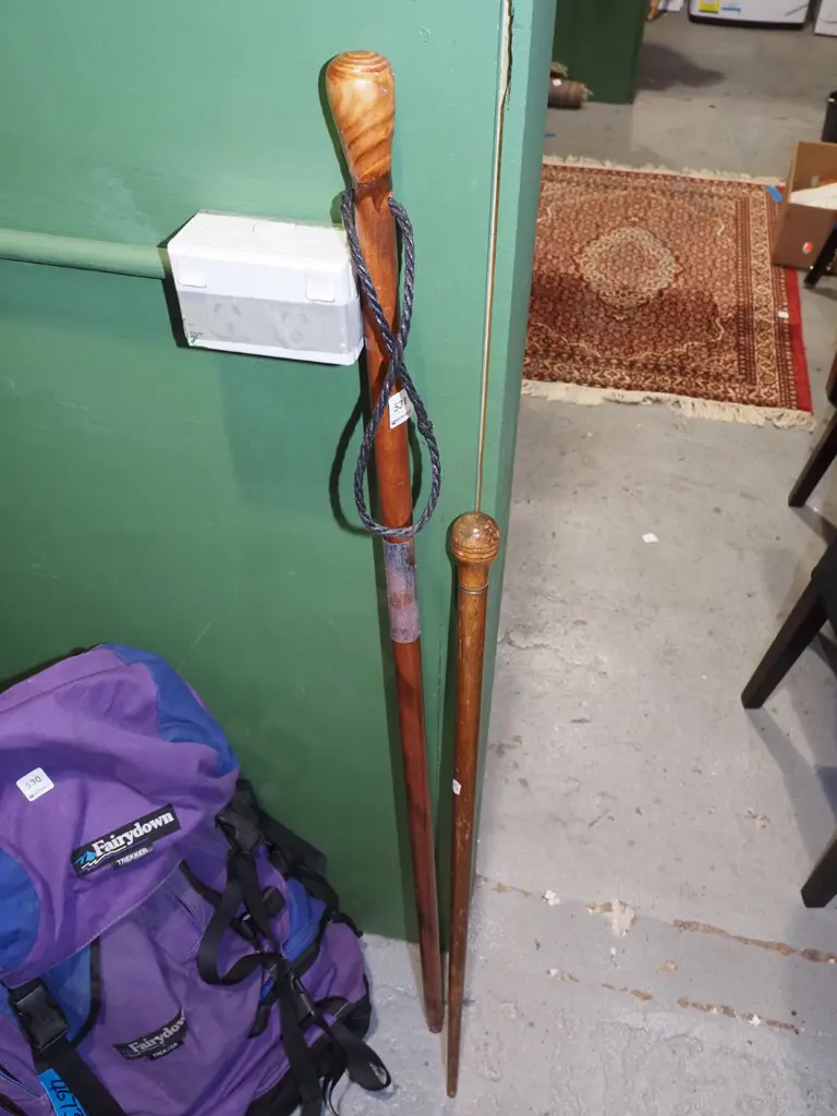 2x walking sticks Image 1++