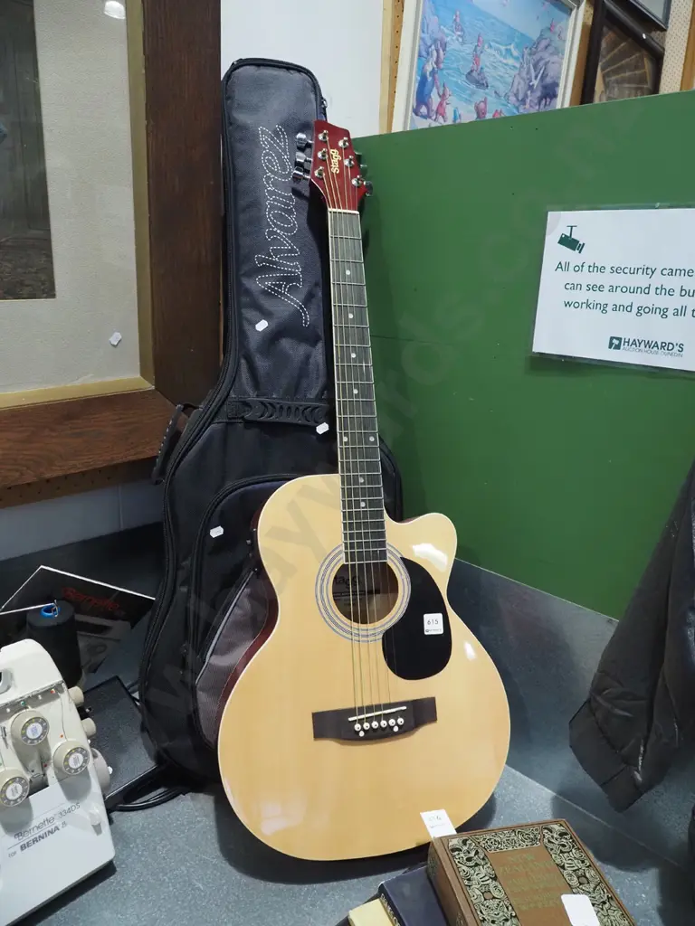 Stagg acoustic-electric guitar with soft carry case Image 1++