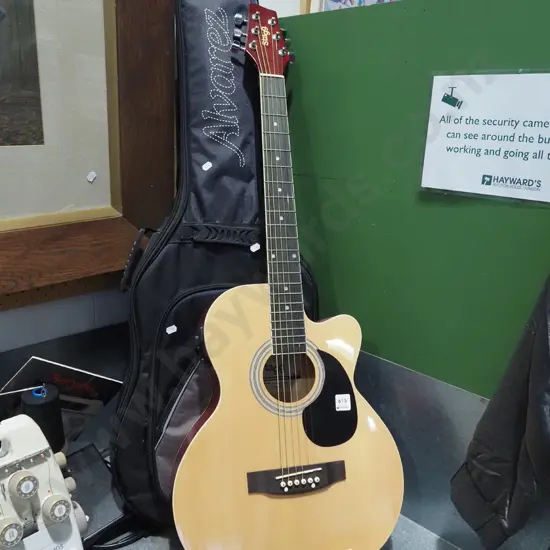 Stagg acoustic-electric guitar with soft carry case