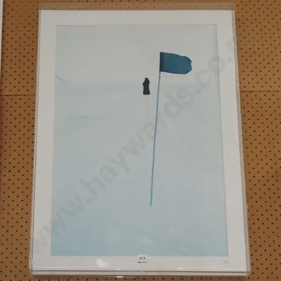 photo print behind boxed perspex - flag and dressmakers form