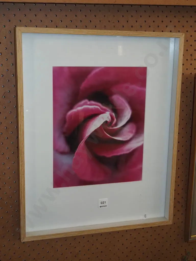 framed photo print - rose Image 1++