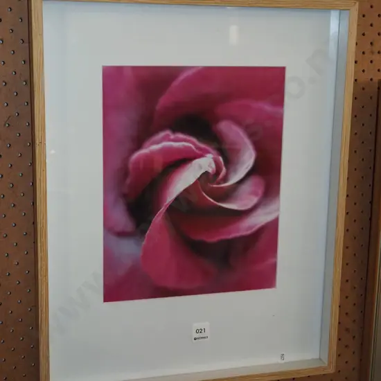 framed photo print - rose