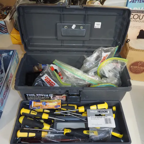 plastic tool box, screwdrivers, nails, screws etc