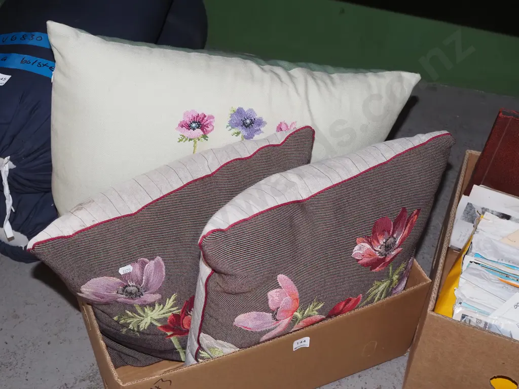 box; 3x cushions - largest has stain Image 1++